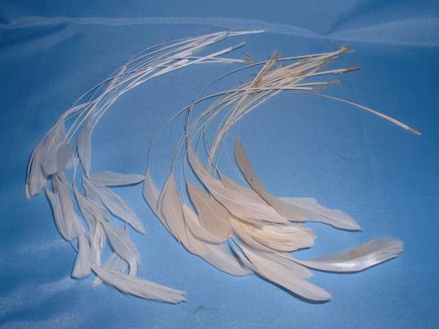 Our most popular decorative feather for bridal hats wedding bouquets 
